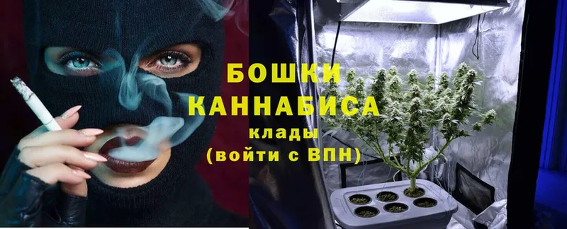 Шишки марихуана SATIVA & INDICA  мега как войти  Нерюнгри 